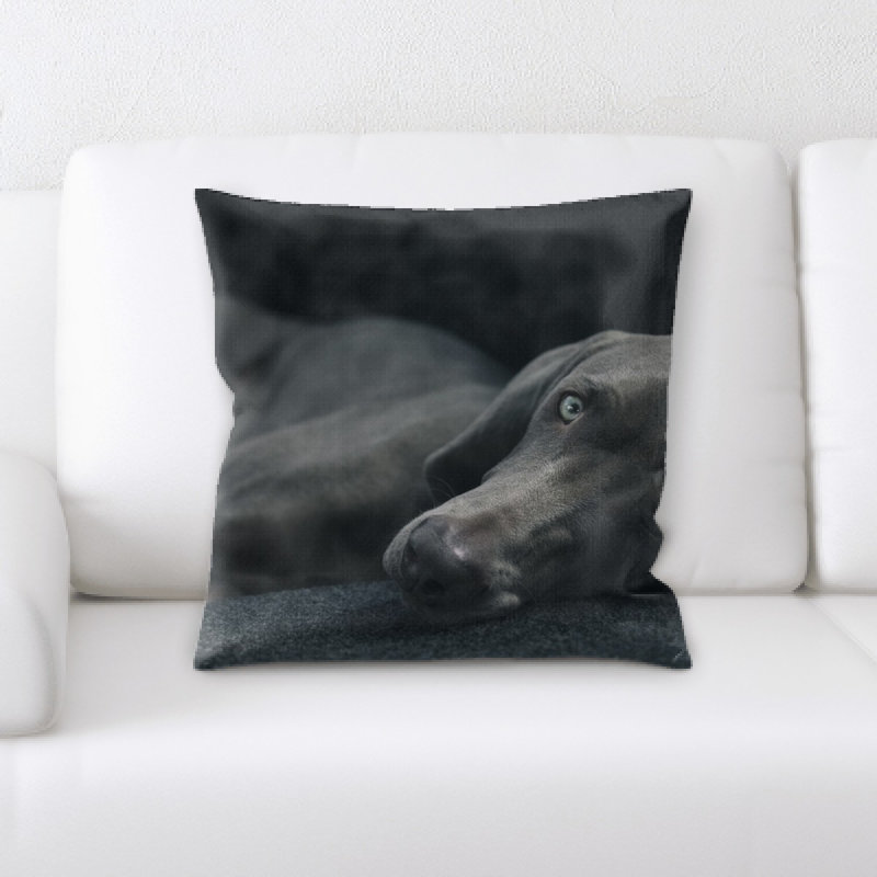 Coussin pour chien