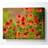 Variety Daisies - Wrapped Canvas Print-116735376