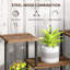 Plant Stand