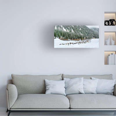 Hua Zhu Spring Snow Canvas Art