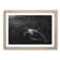Sea Turtle - Picture Frame Painting Print