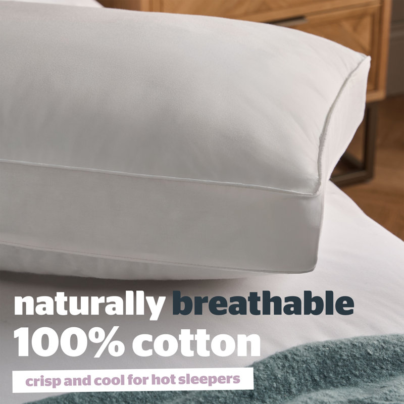 Silentnight Hotel Collection Luxe Cotton Box Pillow