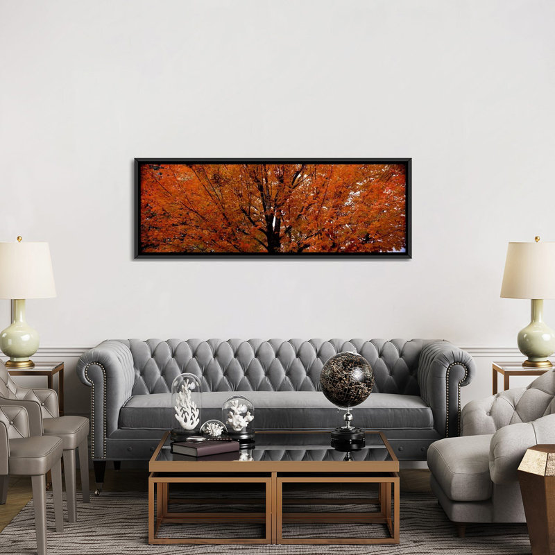 «Maple Tree in Autumn, Vermont, USA», reproduction sur toile tendue, H 12 po x l 36 po x P 1,5 po, Toile avec cadre noir