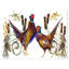 « group of oiseau », impression d’art graphique-34273941-29496451