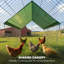 Poulailler en métal, enclos à poules pour cour avec cage de 106 po x 29,5 po x 29,5 po, cage de volaille, cage de poulailler pour l'extérieur-1206984383-1206984381