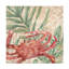 «Trademark Fine Art June Erica Vess Damask Crab IV», art mural sur toile-1127667785