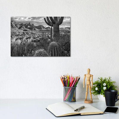Barrel And Saguaro Cacti With The Santa Catalina Mountains, Catalina State Park, Arizona - Wrapped Canvas Print