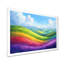 Arc-en-ciel au-dessus des collines luxuriantes - arc-en-ciel, art mural-1730530702-1770540159