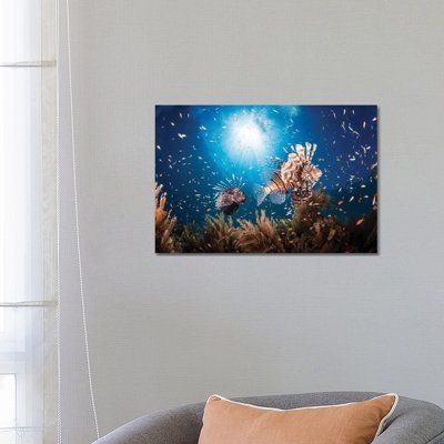 Lionfish 1 Piece Wall Art on Canvas