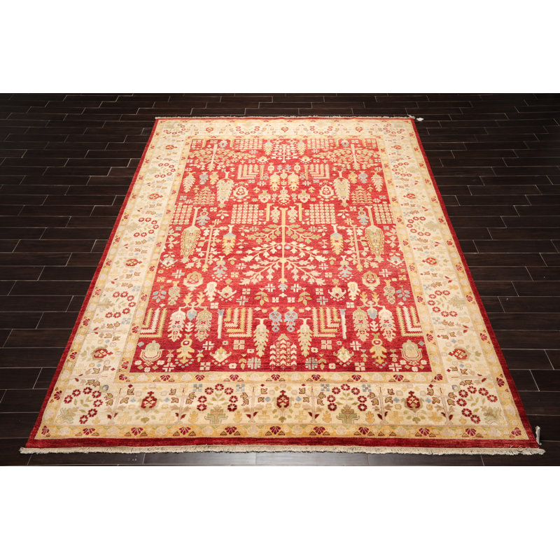 Tapis rouille en laine noué à la main de conception unique 9 pi 1 po x 11 pi 11 po Elyis