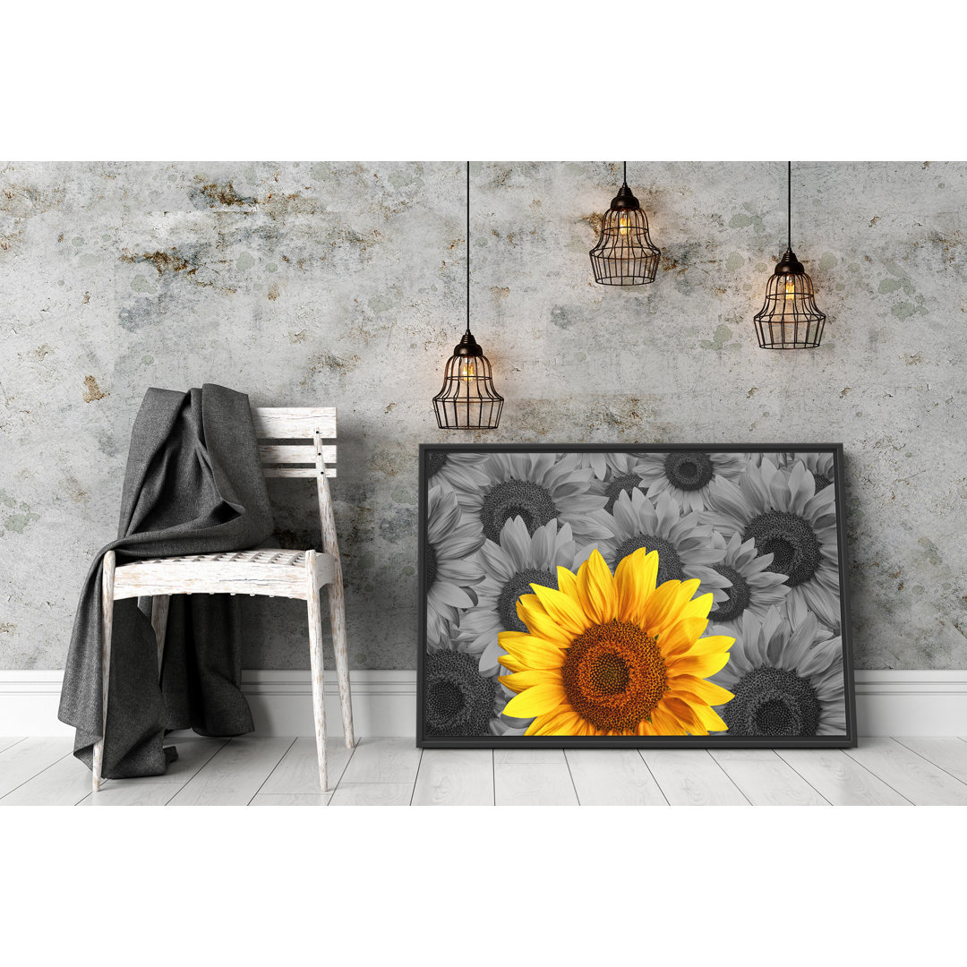 Gerahmtes Wandbild schöne Sonnenblumen