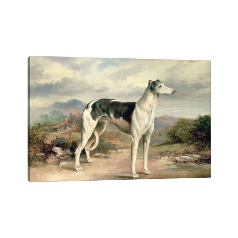 A Greyhound In A Hilly Landscape by James Henry Beard - Wrapped Canvas Print, 20.32 cm H x 30.48 cm W