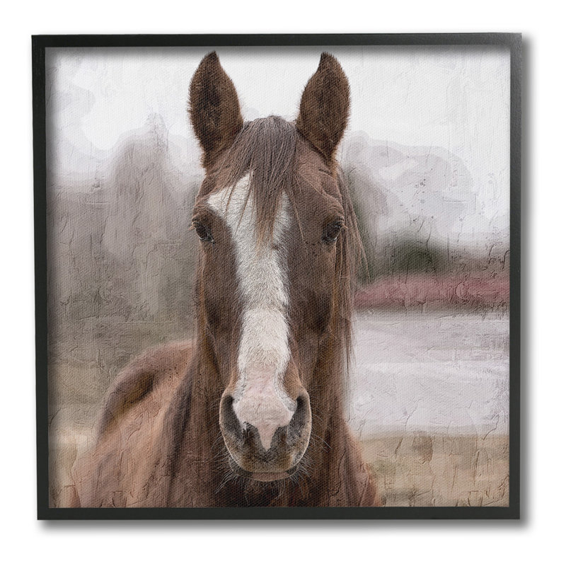 «Brown Horse Portrait», estampe numérique par Kim Allen, Giclée encadrée noir minuit, H 24 po x l 24 po
