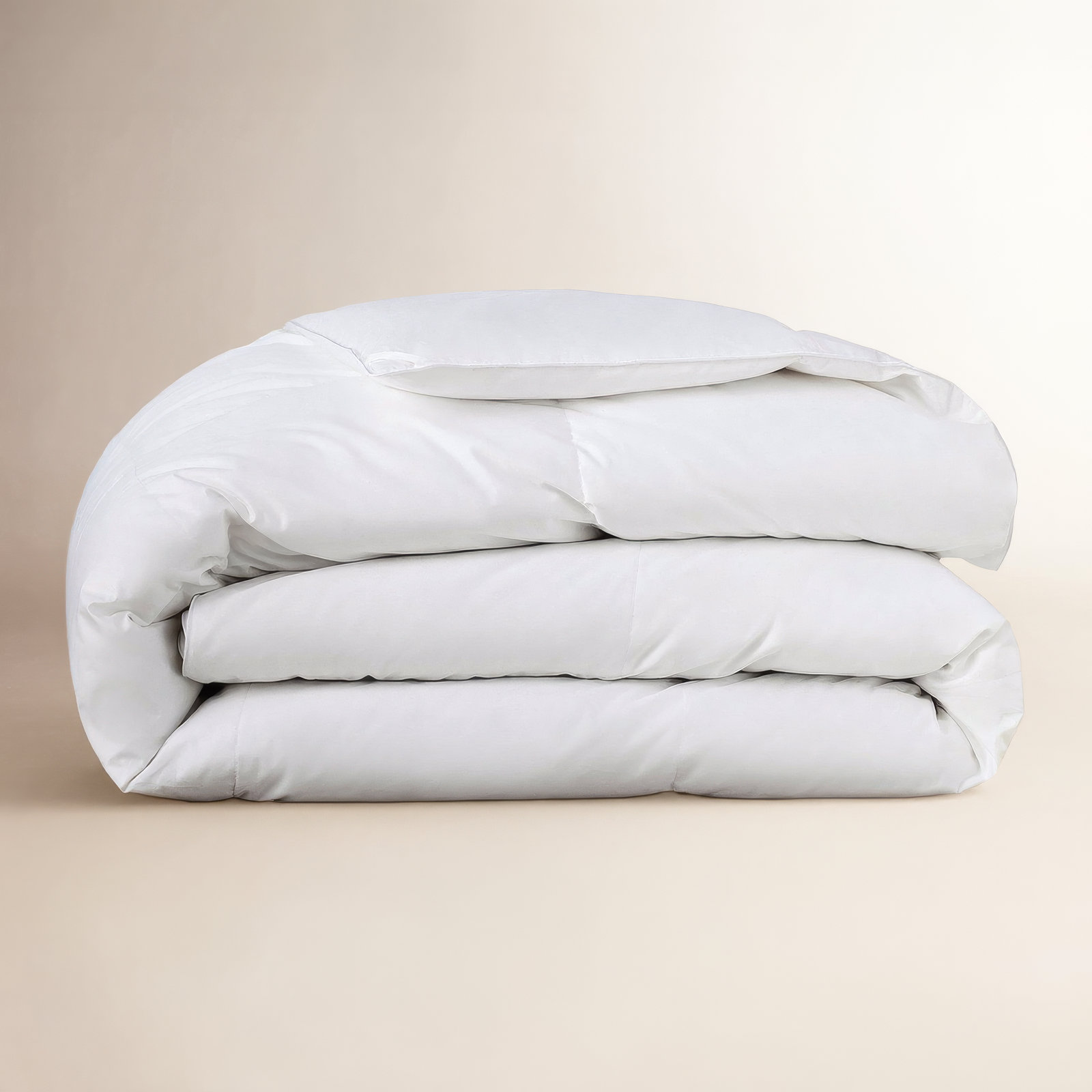 Terron Down Extra Plush Duvet Insert, Full / Queen Down Comforter