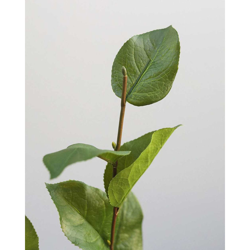 Artificial Salal Leaf Stem 23"