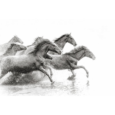 Herd Of Wild Horses Running In Water by Tunart - No Frame Art Prints on Canvas