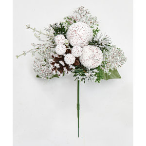 Speckled Snow Covered Apple Pine Cone Berries Pick