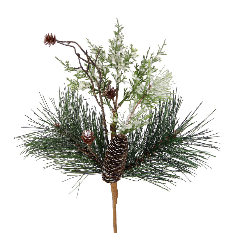 Branche de cône de pin glacé
