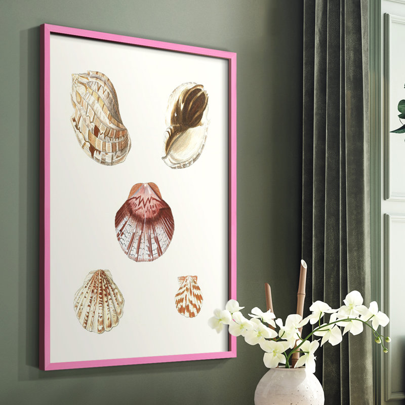«Pastel Knorr Shells», reproduction encadrée en bois massif, Rose, H 10 po x l 8 po