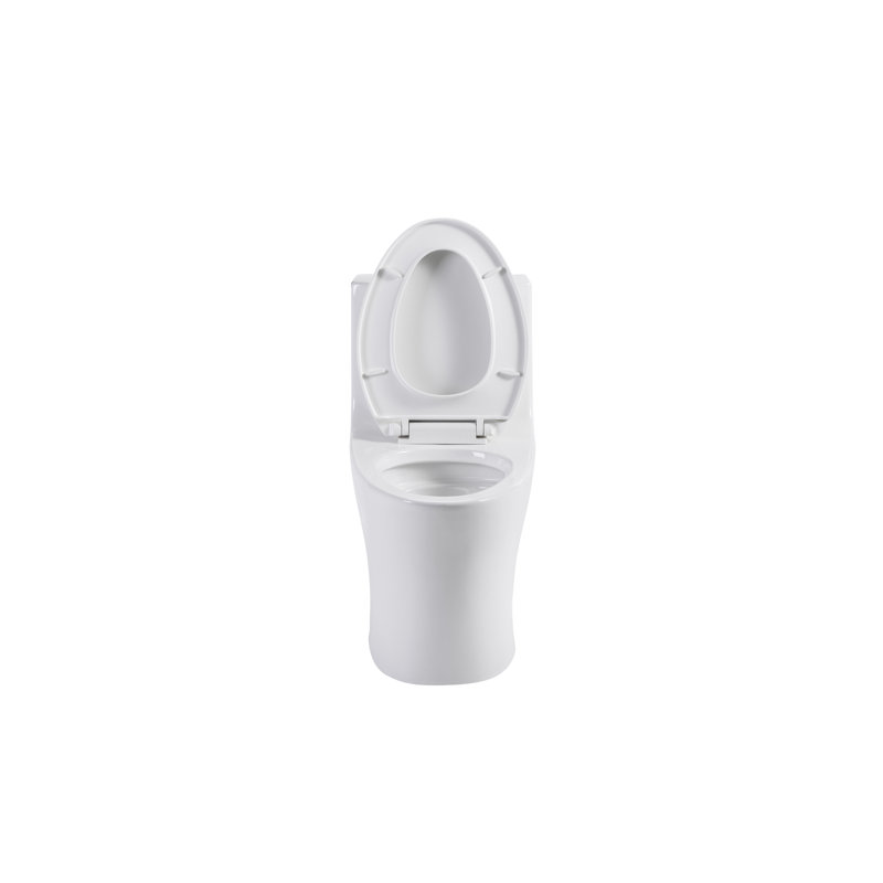 Toilette monobloc Tornado Flush