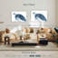 Tortue dans les bleus-1891081452-1891081442