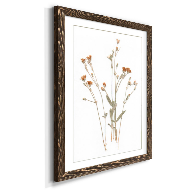 " Pressed Botanical I ", 37.5" H x 27.5" W x 1.5" D, Walnut