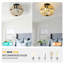 Ventilateur de plafond perlé 18 po avec lumière et télécommande, finition chêne blanc Boho
