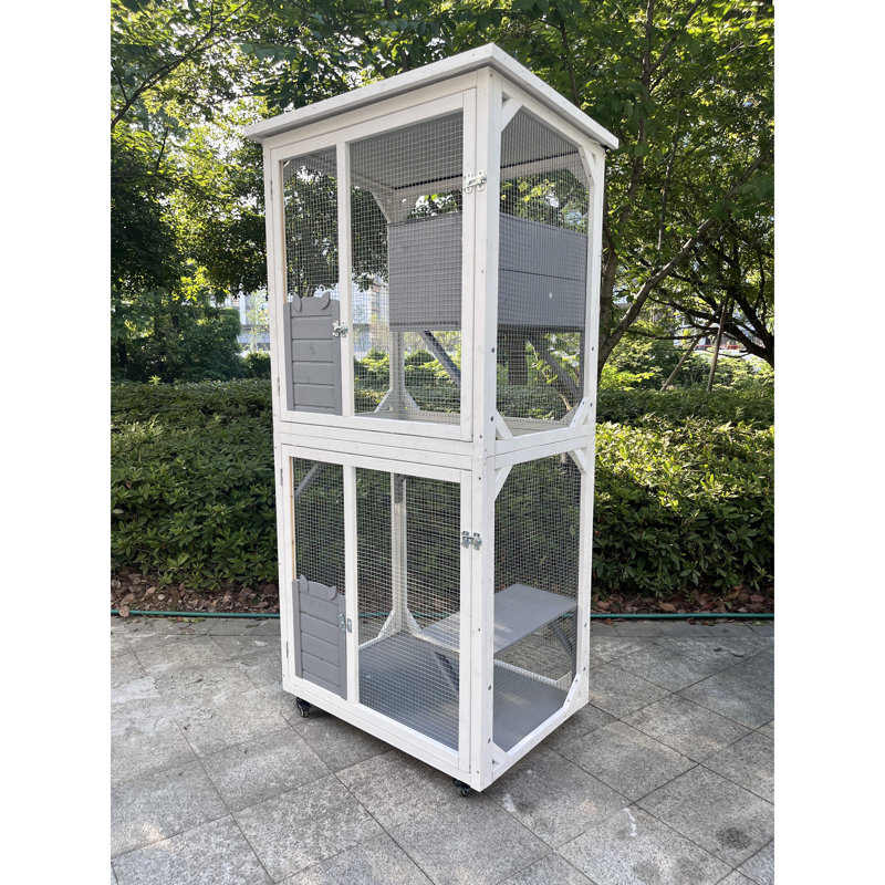 Cage de jeu d'extérieur pour chat