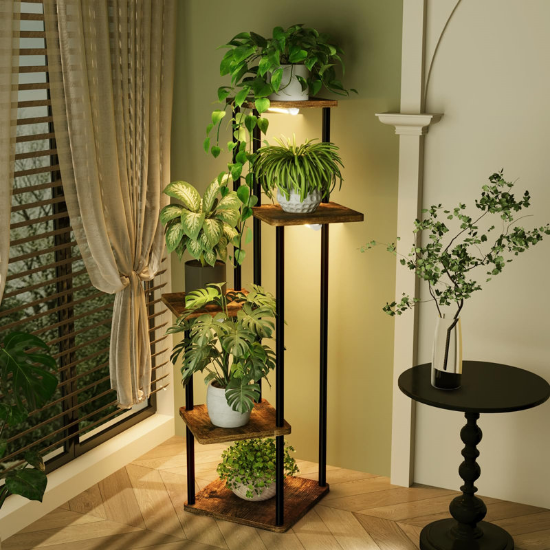 Plant Stand - Set of 6