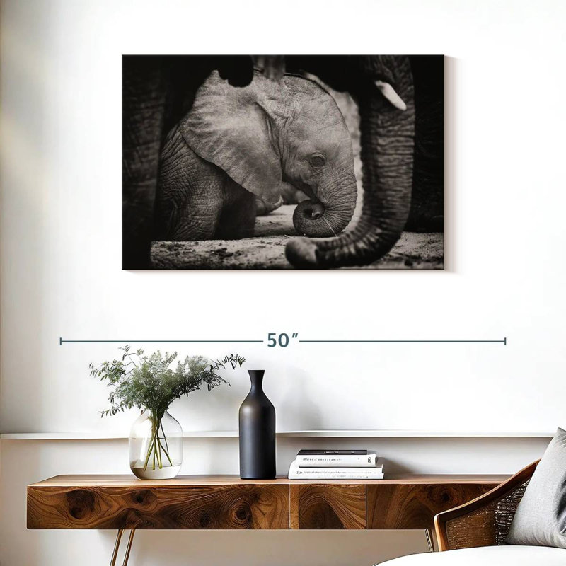 Brampt Napping Baby Elephant, 24" H x 36" W