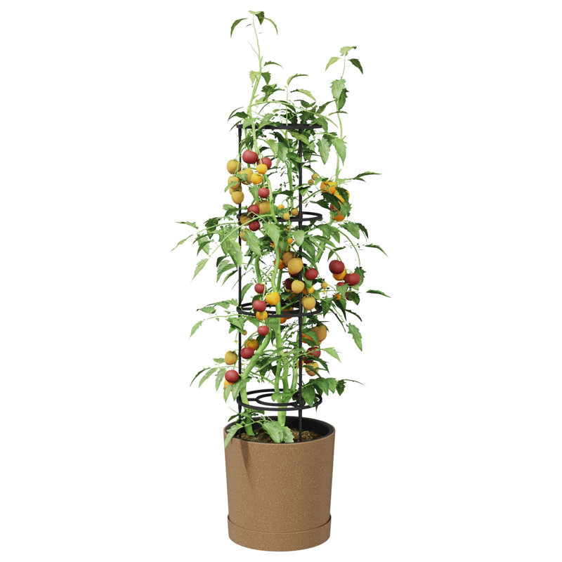 Pot Planter, 139cm H x 39cm W x 39cm D