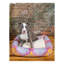 Tapis pour lit de qualité supérieure Rugs.com-100613958-110734661