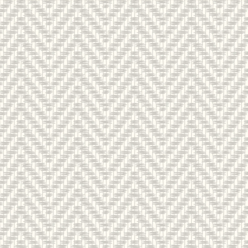Rouleau de papier peint L 51,18 pi x l 41,64 po, Gris