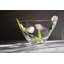 Barre Bowl-2045889188