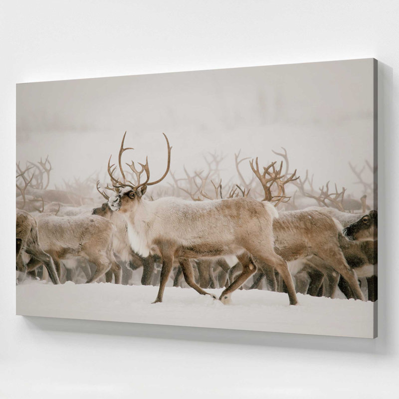 Splendor of Nature, grande impression sur toile, H 36 po x l 54 po