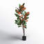 Faux Magnolia Plant in Pot-1917665336