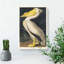 American White Pelican by John James Audubon - Wrapped Canvas-55306977