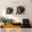 Crowle Saint Bernard-109395505