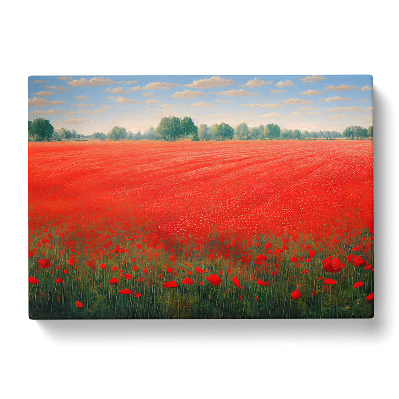 Pleasing Poppy Field Flowers - Wrapped Canvas Print, 40cm H x 60cm W x 3cm D