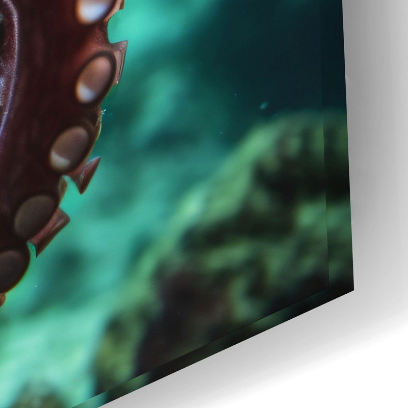 Octopus At Sea par Epic Portfolio, H 16 po x l 24 po x P 0,2 po