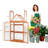 18.3" W x 29.9" D Wooden Greenhouse Cold Frame，Garden Raised Flower Planter Shelf-70355518