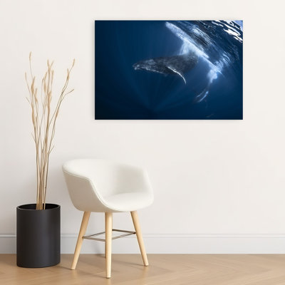 Majestic Whale Dive Contemporary Whale Nature Ocean Wall Art Print