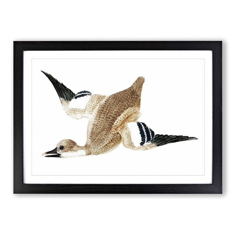 Flying Duck by Johan Teyler - Picture Frame Art Print, Black, 40cm H x 60cm W x 2cm D