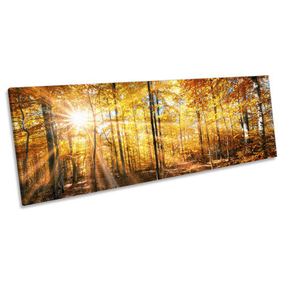 Forest Sunset Landscape Trees - Wrapped Canvas Panoramic Print