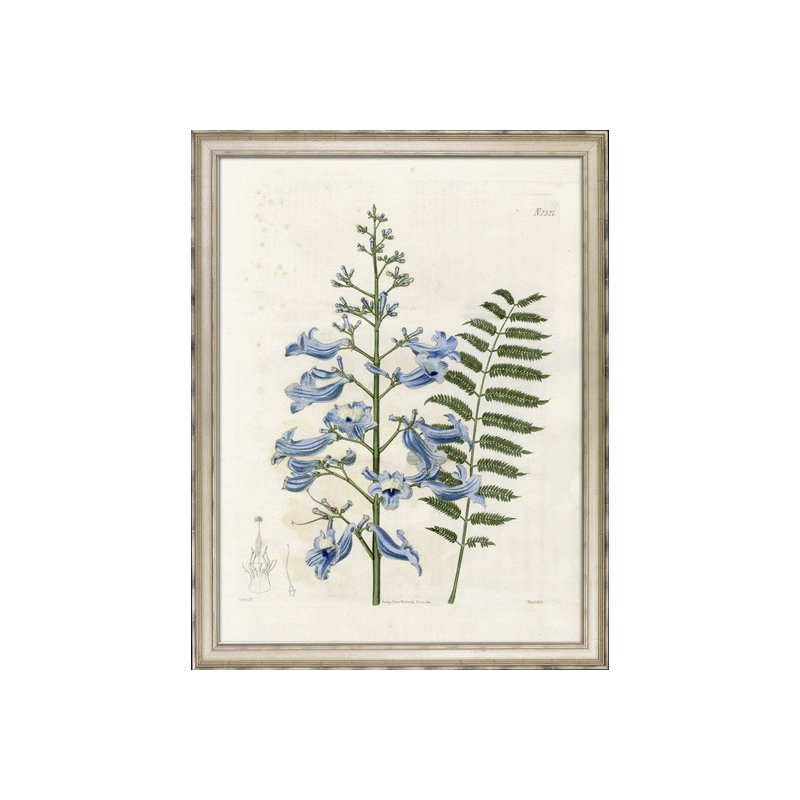 Large Blue Botanical I Print