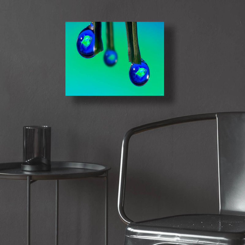 Winston Porter «Glofish In A Drop 1» par Gordon Semmens, art mural en verre acrylique, ACR-50688