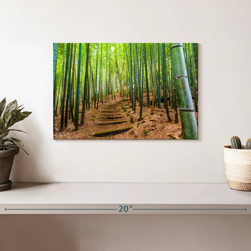 Forêt emblématique de bambou Alvord, H 8 po x l 12 po