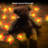 Birgit 0.5' Outdoor LED Battery Powered 1 Novelty String Light