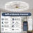 Ceiling Fan With Light