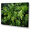 «Herbs Pottery Delights 2 - Floral Herbs», art mural